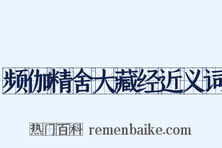 频伽精舍大藏经近义词是什么意思的图片